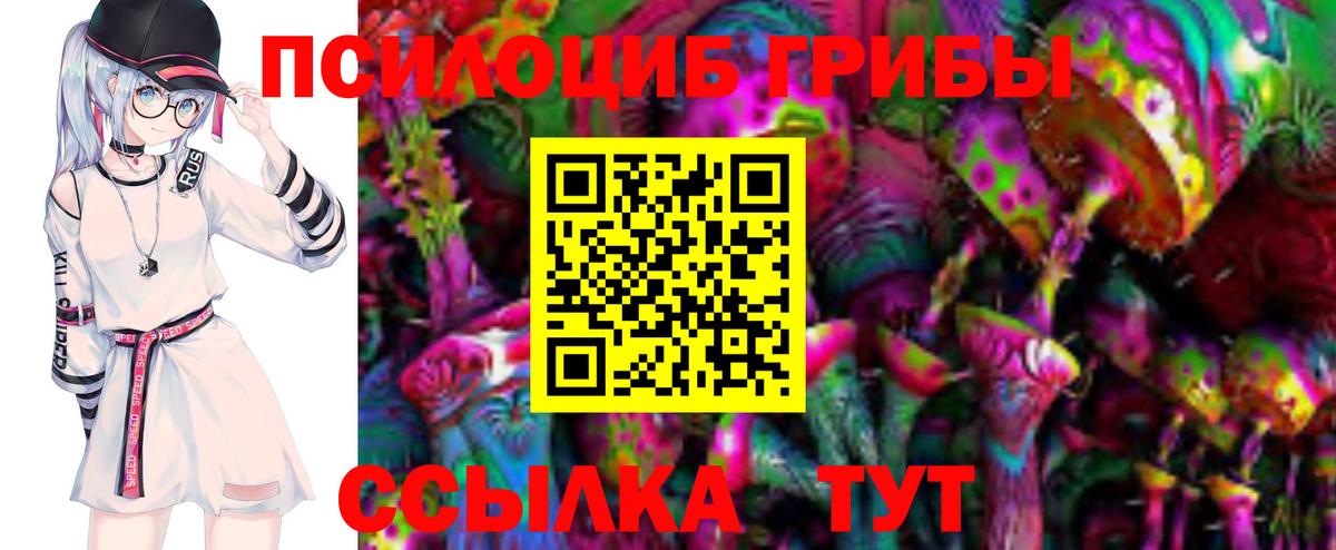 Кудымкар  что такое наркотик  Вход с VPN  Галлюциногенные грибы прущие грибы 
